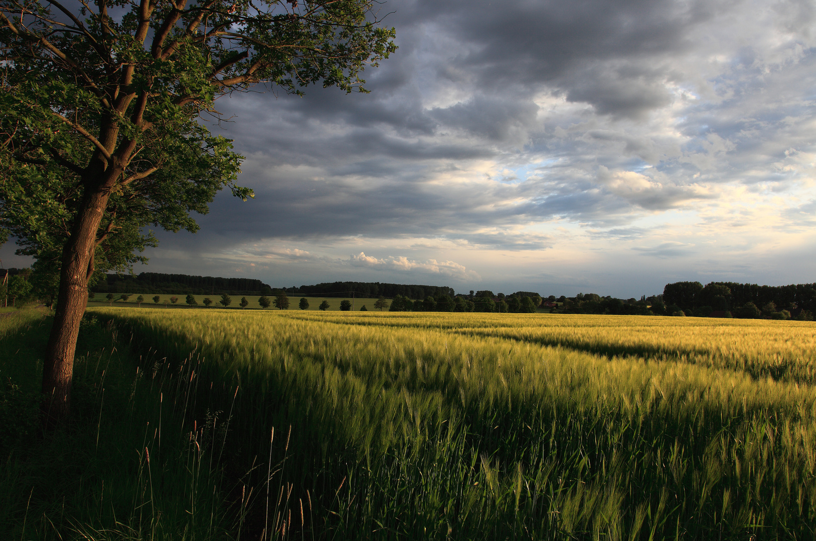 Westfälische Landschaft