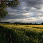 Westfälische Landschaft