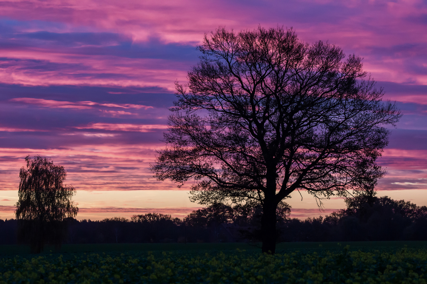 Westfälische Morgenstimmung