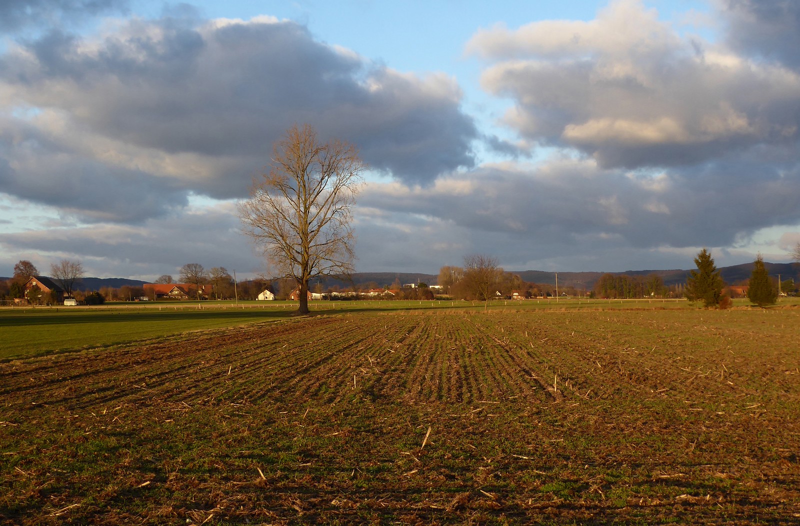 Westfälische Winterlandschaft im Abendlicht