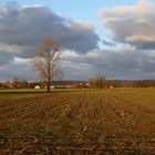 Westfälische Winterlandschaft im Abendlicht