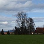 Westfälischer Bauernhof im Winter