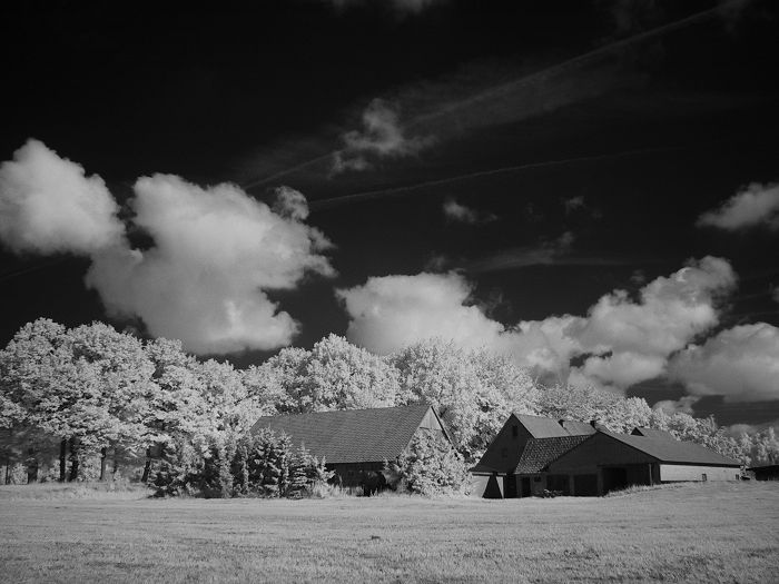 Westfälischer Hof  (IR)