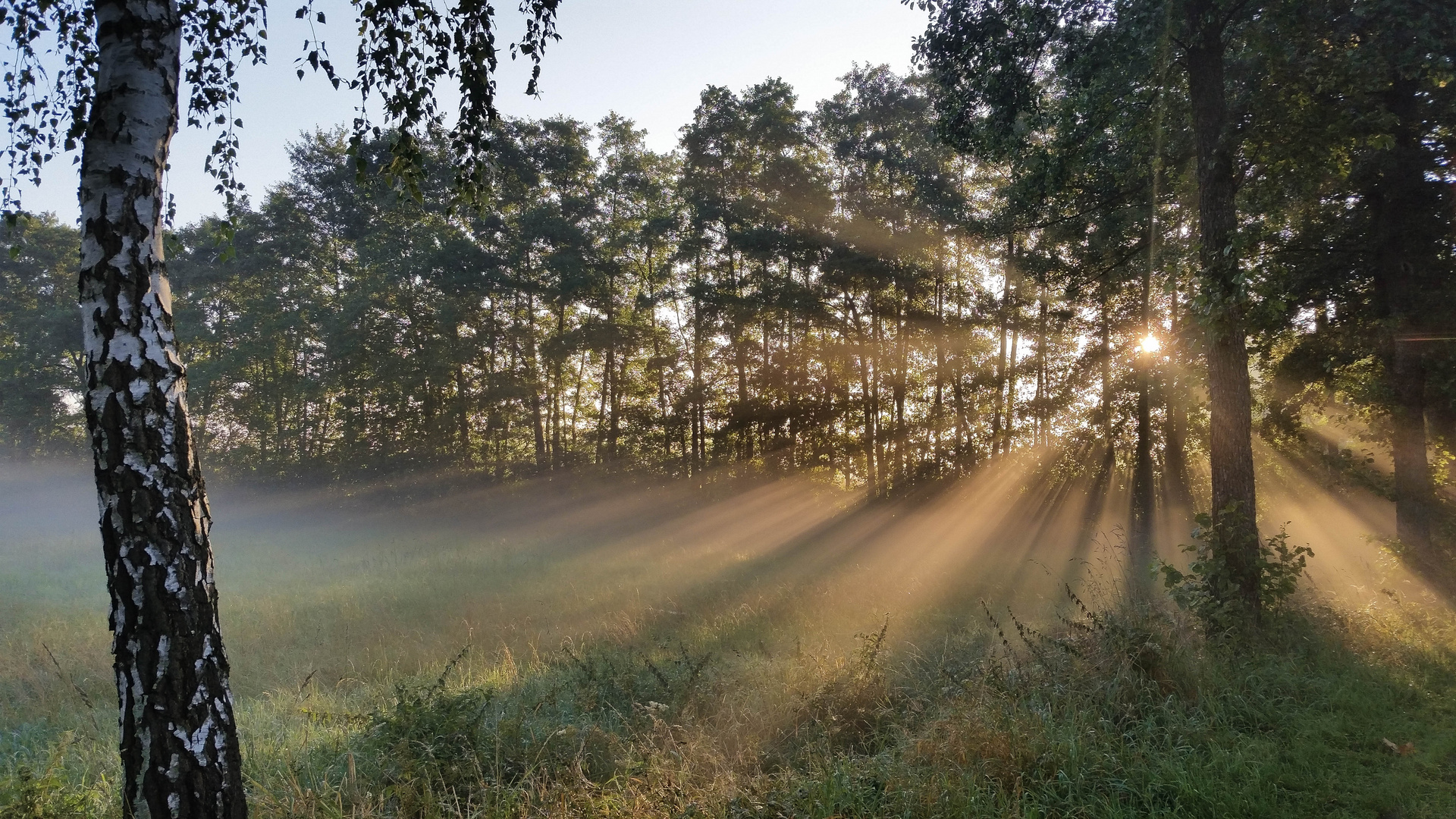 westfälischer Spätsommermorgen