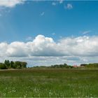 Westfälischer Weitblick