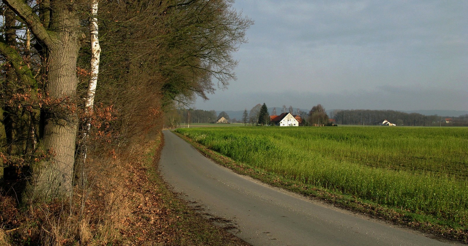 Westfalen im Januar