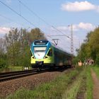 Westfalenbahn ET 003 auf dem Weg nach Osnabrück