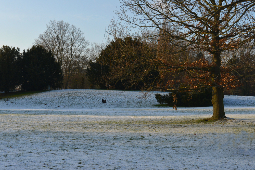 Westfalenpark Dortmund