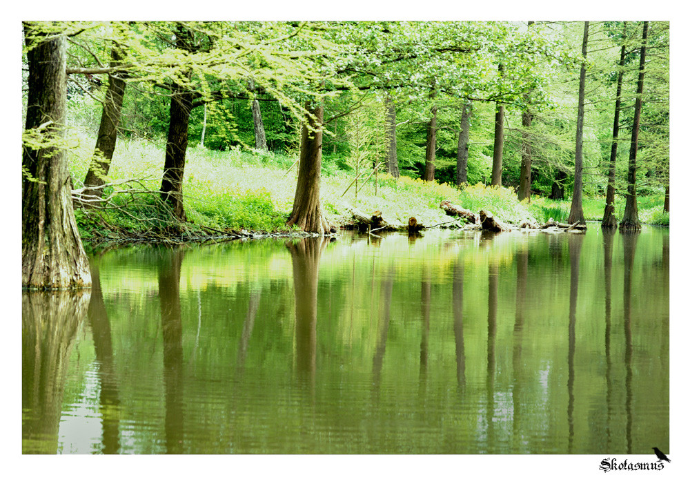 Westfalenpark Dortmund Foto & Bild landschaft, bach, fluss & see, see