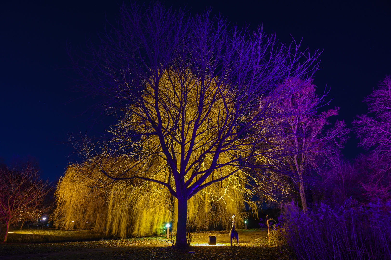 Westfalenpark Dortmund, Winterleuchten 2