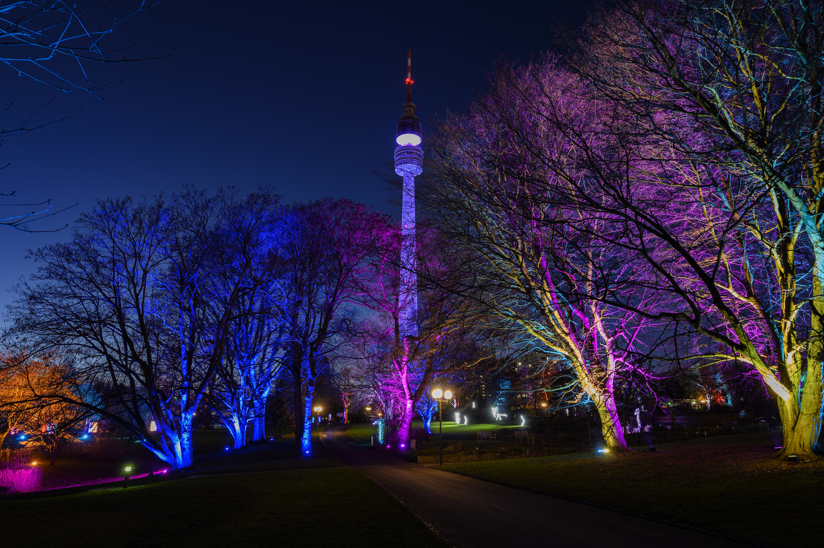 Westfalenpark Dortmund, Winterleuchten Foto & Bild lampen und