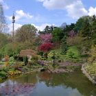 Westfalenpark im Frühling