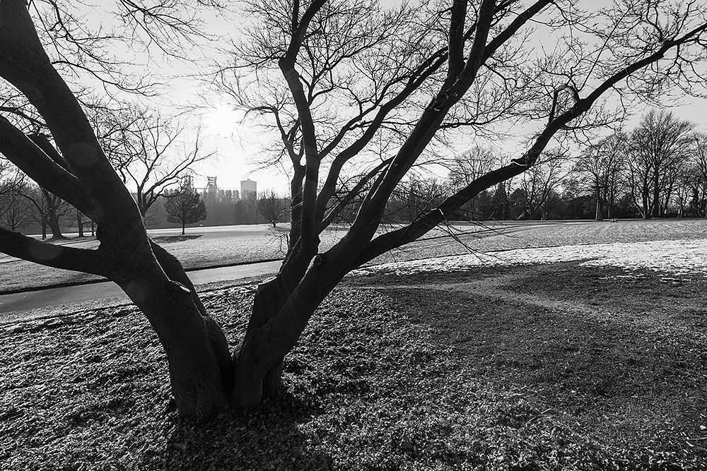 Westfalenpark im Winter