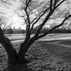 Westfalenpark im Winter