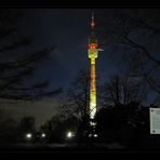 Westfalenpark @night II