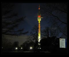 Westfalenpark @night II