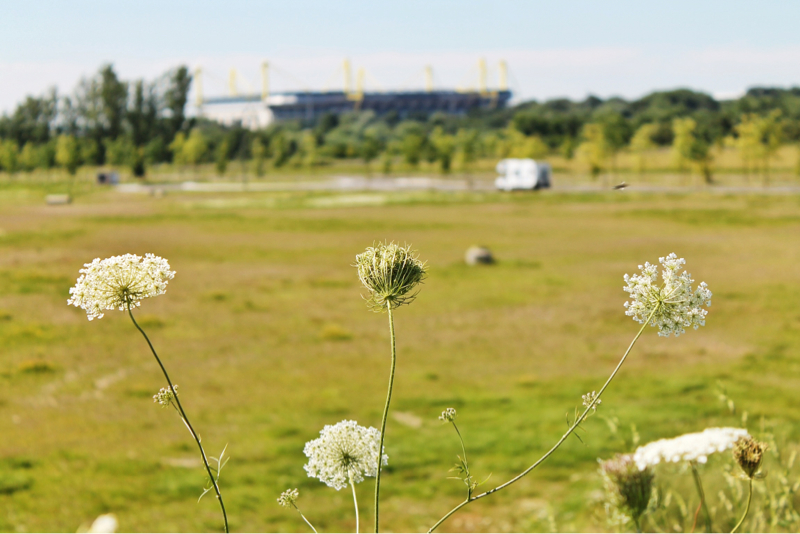 Westfalenstadion