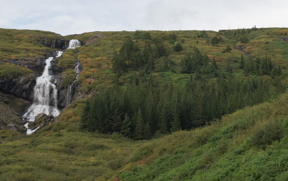 Westfjorde