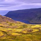 Westfjorde