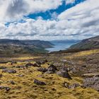 Westfjorde (Island)