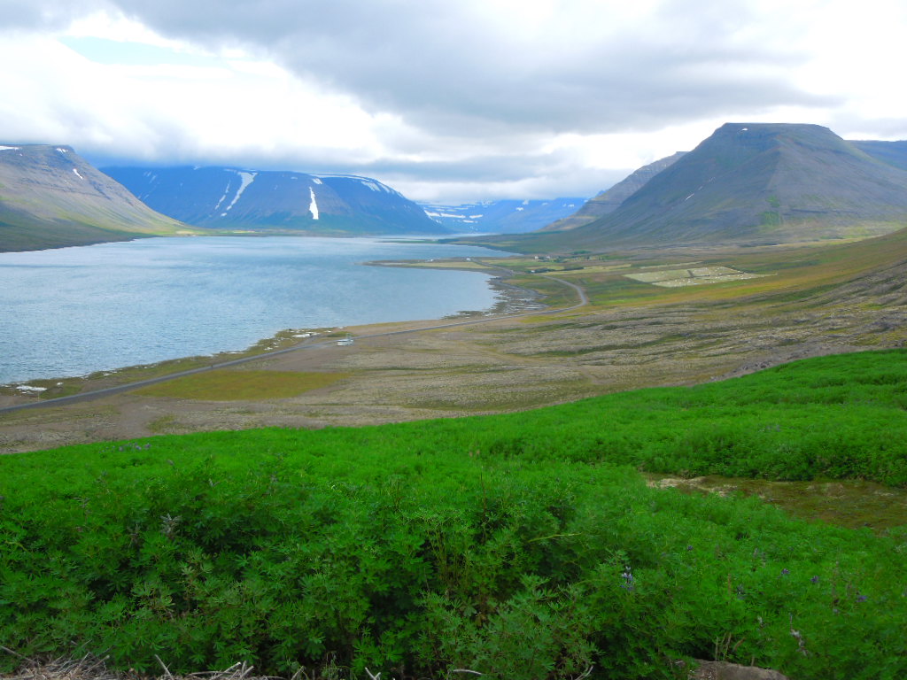 Westfjorde Island 5