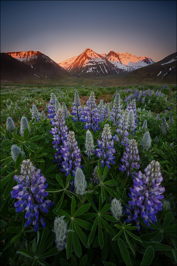 [ ... westfjords ]