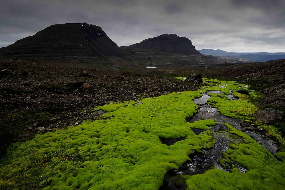 Westfjortde Island