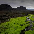 Westfjortde Island