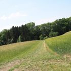 Westgarthausen Wanderweg