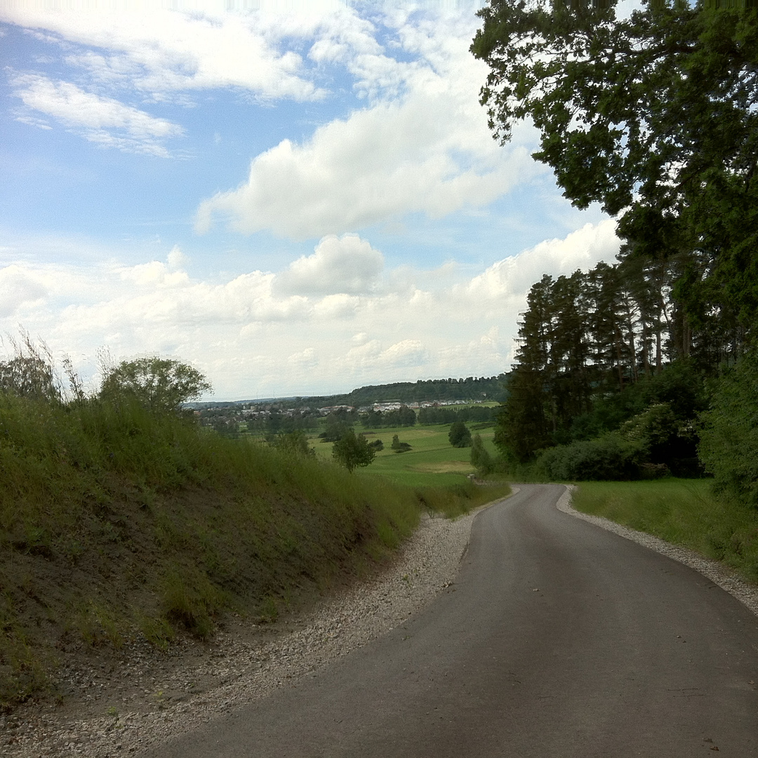 Westgartshausen Wachholderheide