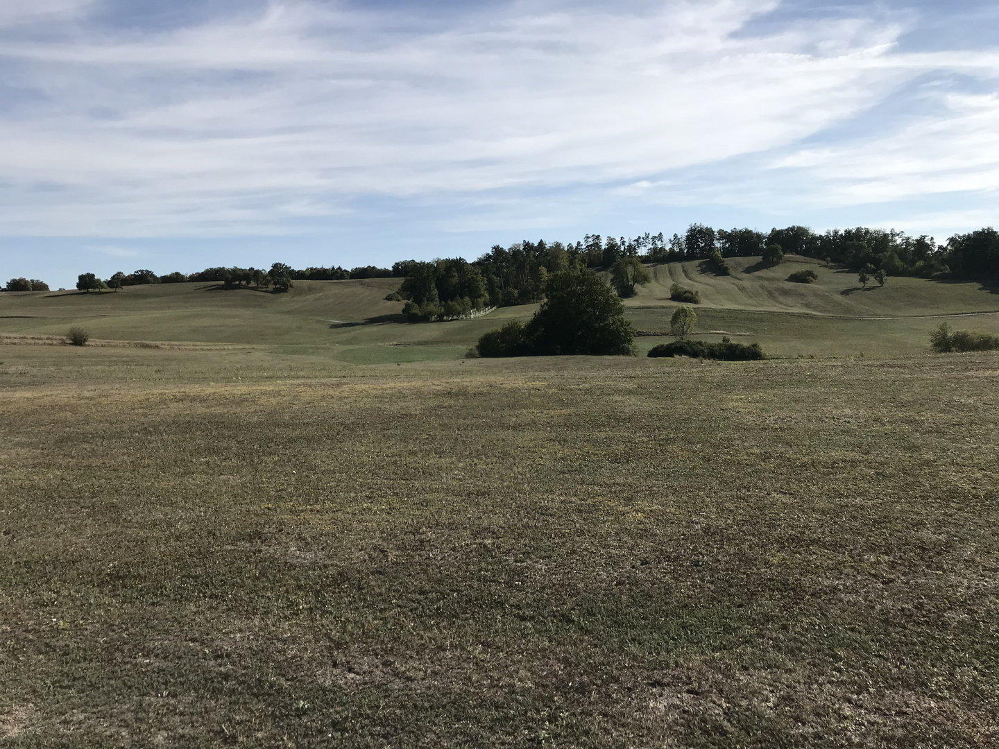 Westgartshausen Wachholderheide 