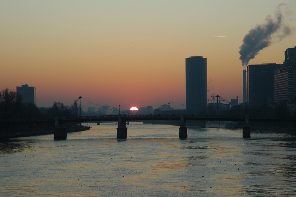 Westhafen Sunset