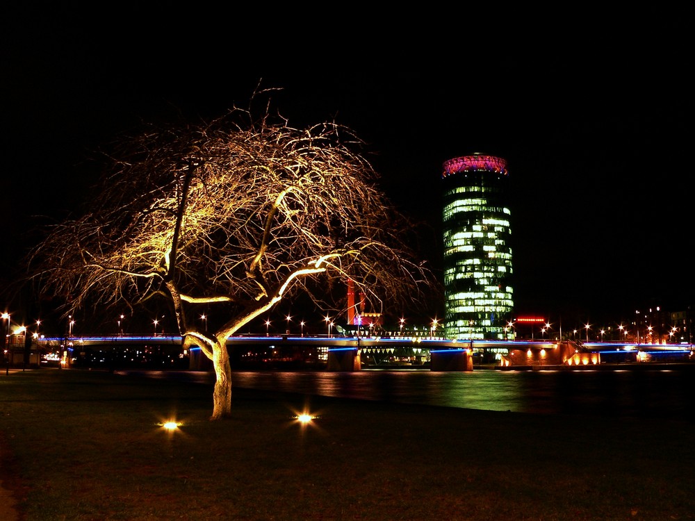 Westhafen-Tower bei Nacht...