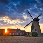 Westhoyeler Wallholländer Windmühle