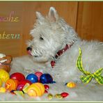 Westie Gipsy liebt Ostereier 