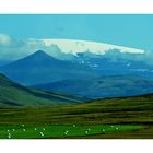 Westisländische Landschaft mit Gletscher Langjökull - Island (23)