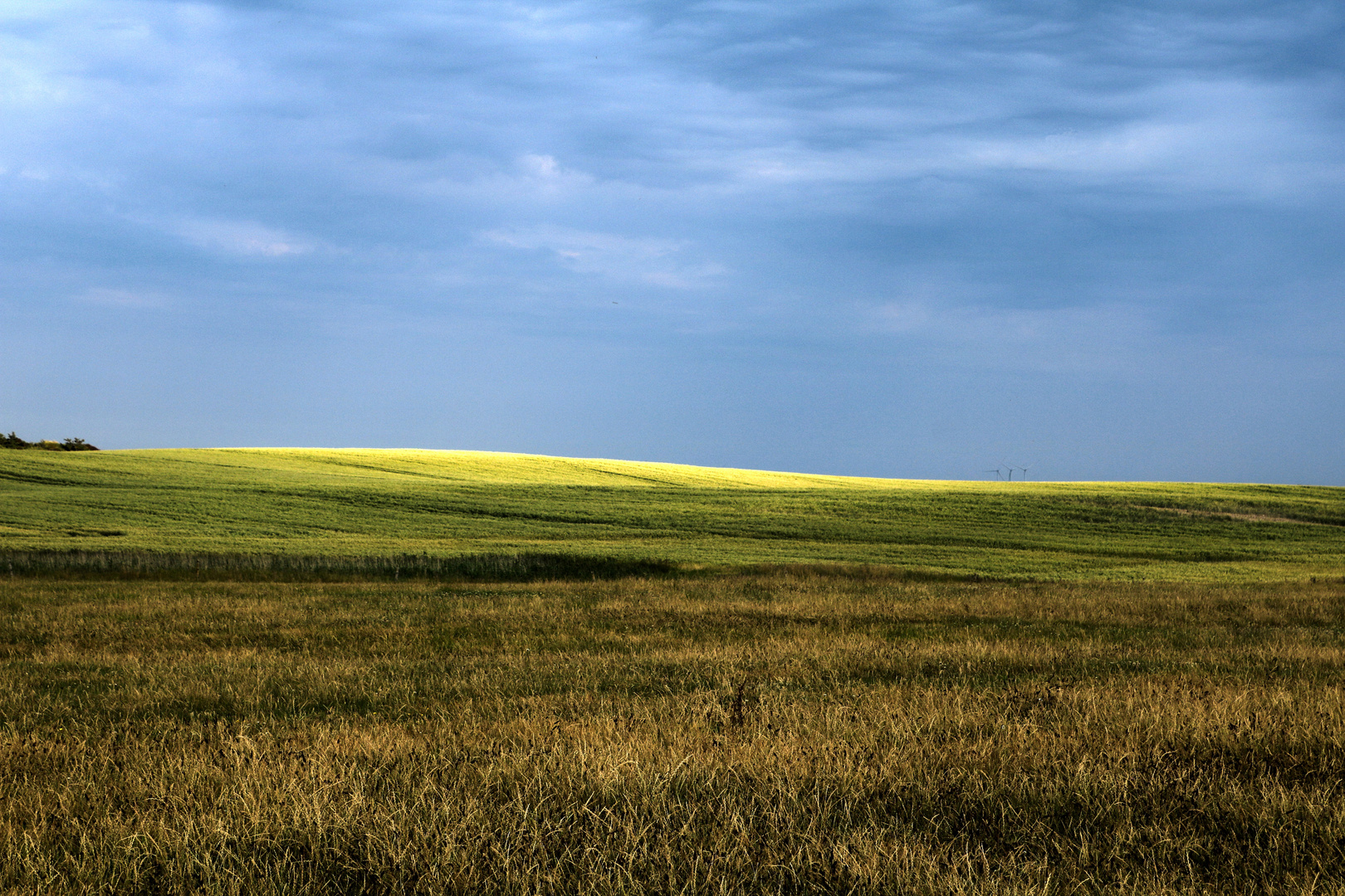 Westjütland - 'Fields of Gold'