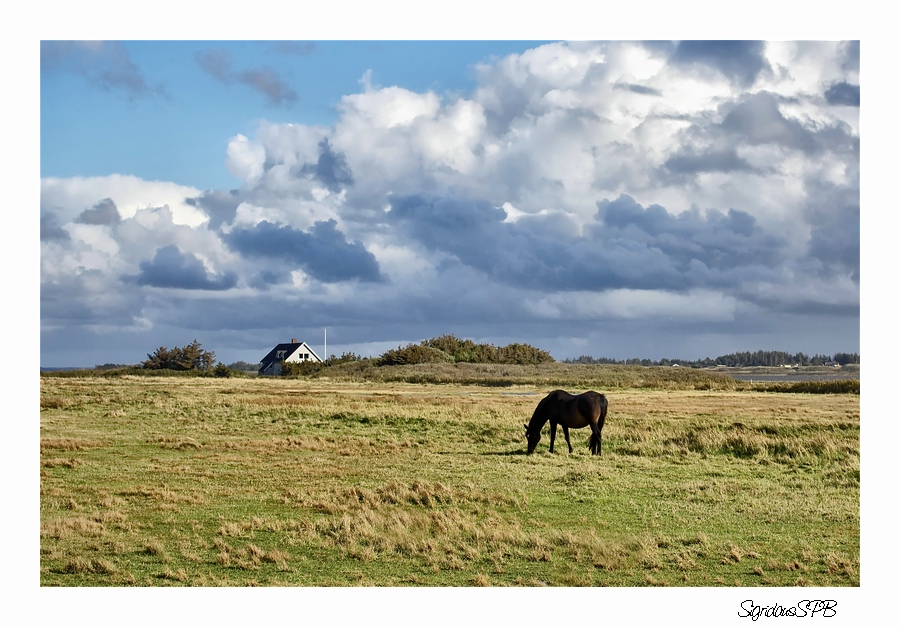 Westküste DK....