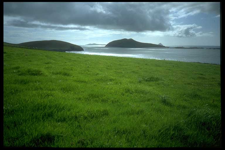 Westküste Irland