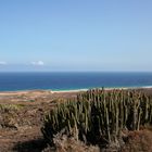 Westküste "Playa de Cofete"