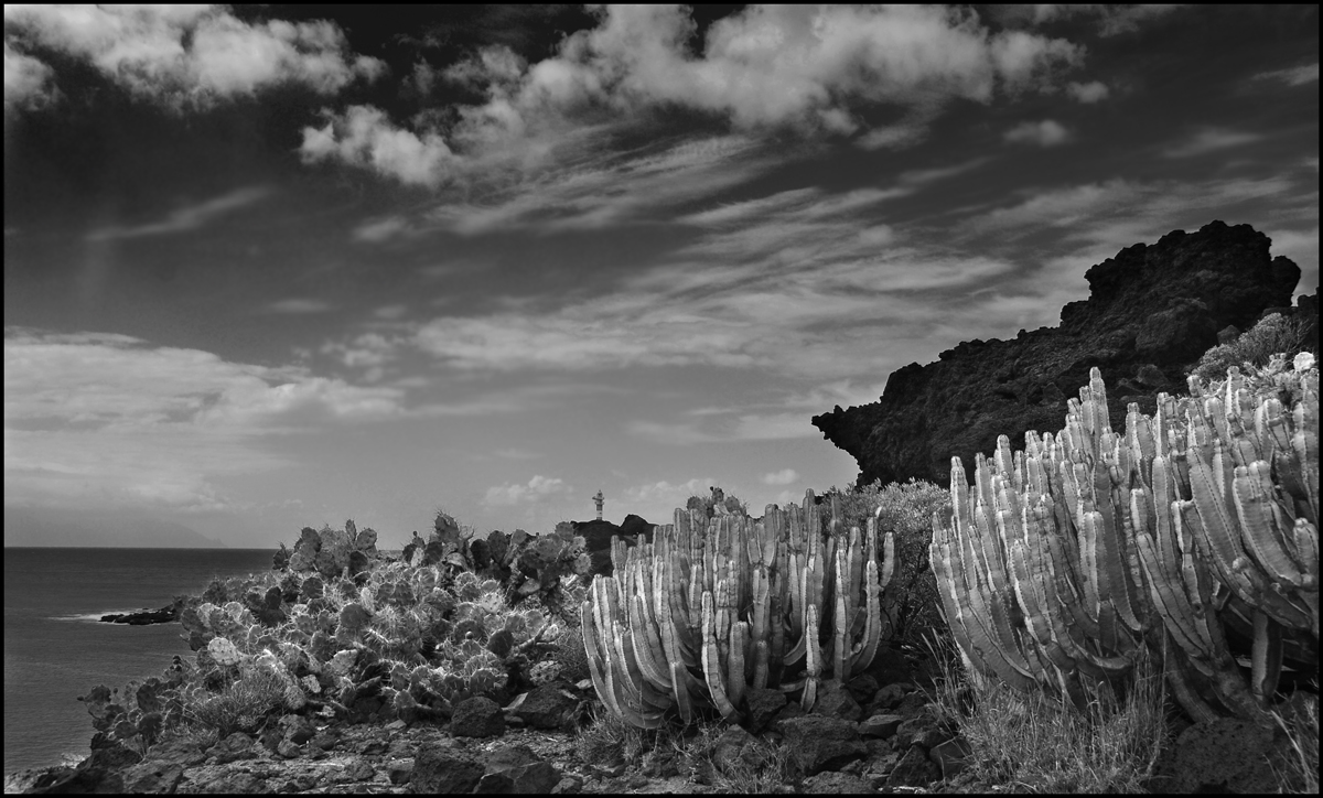 Westküste Teneriffa