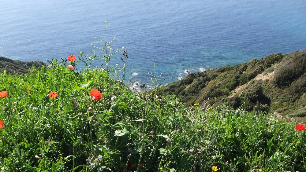 Westküste von Cap Corse, Korsika (auch in 3D)