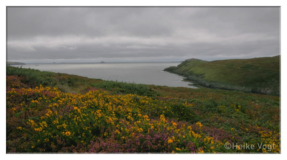 Westküste Wales III