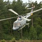 Westland Lynx