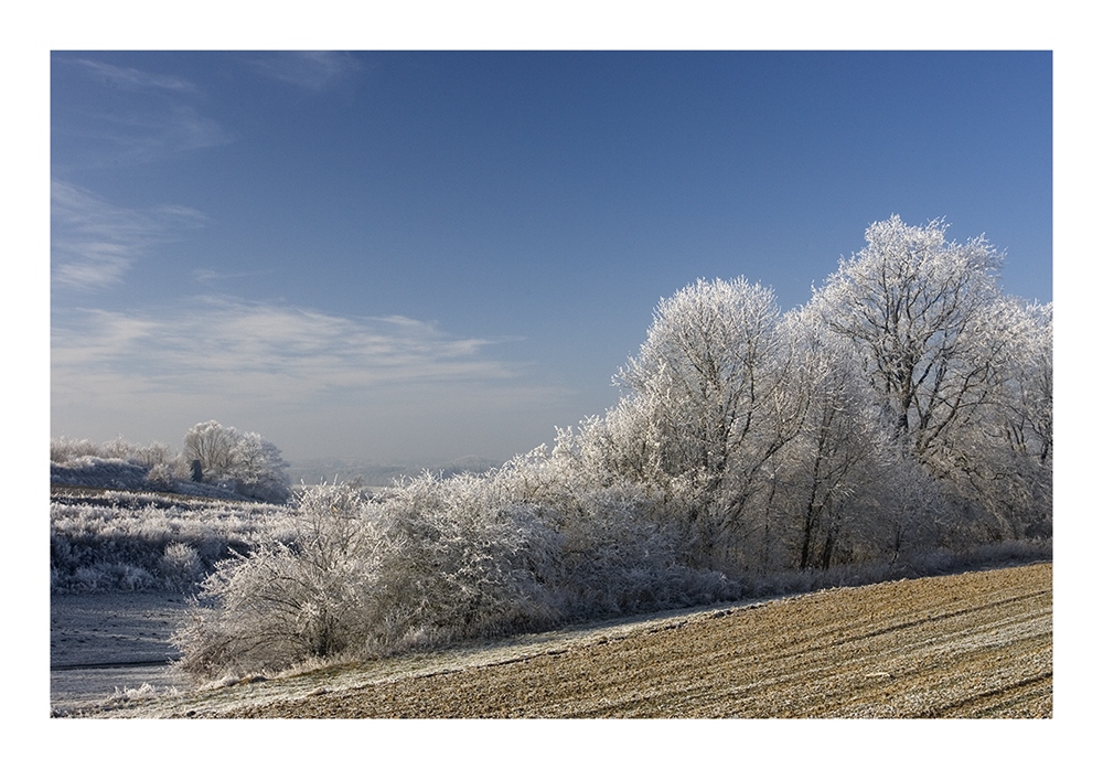 Westliche Wälder