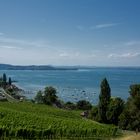 Westlicher Bodensee