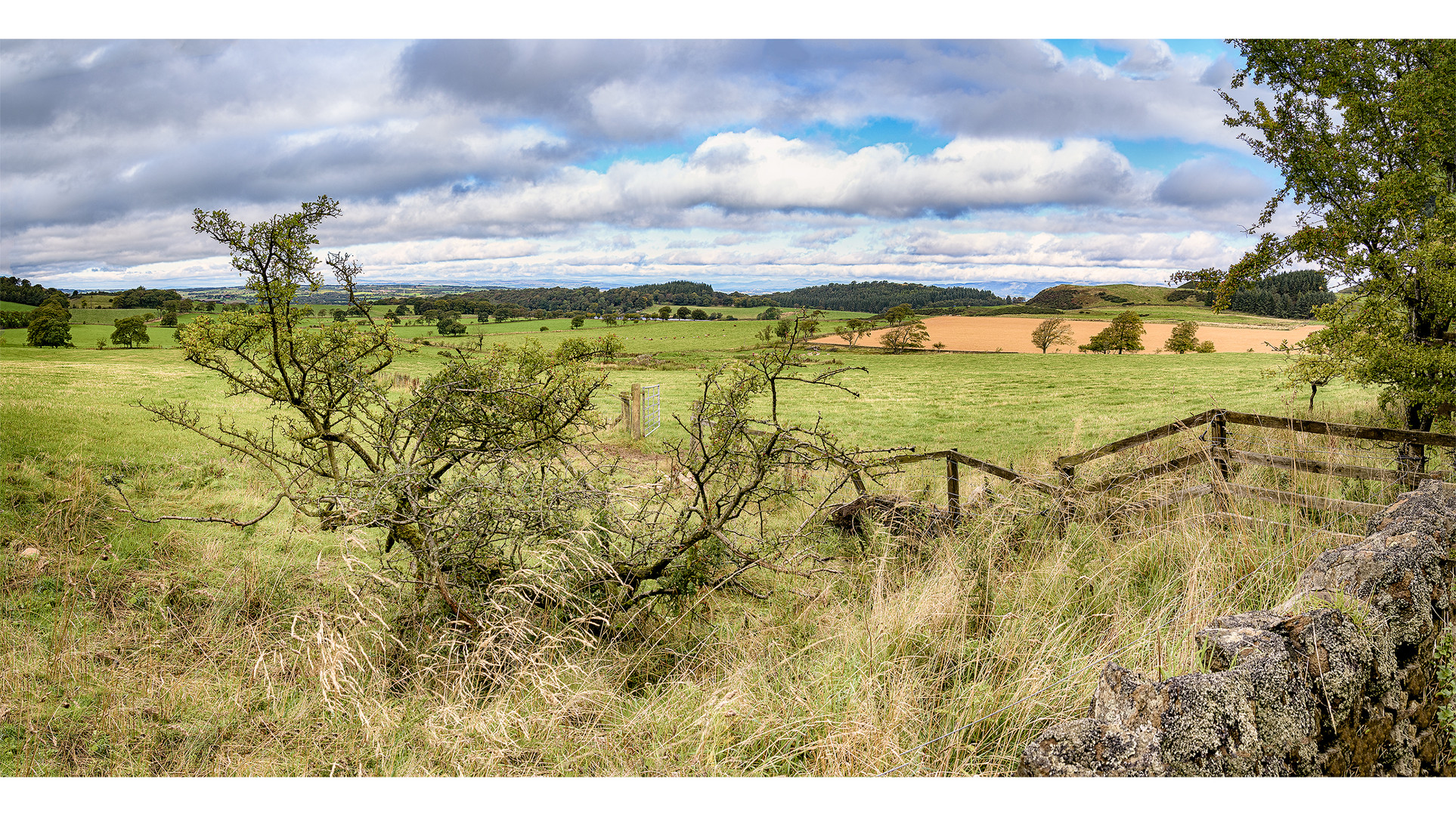 Westlothian Landscape