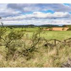 Westlothian Landscape