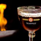 Westmalle Trappist -Belgisches Bier-