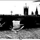 Westminster vintage